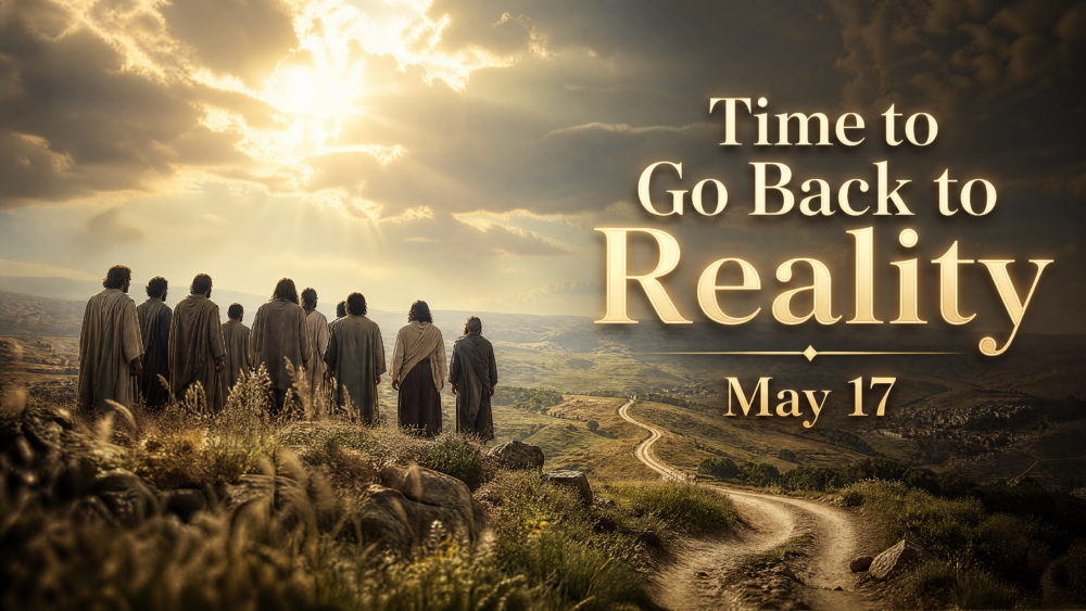 Time to Go Back to Reality Image