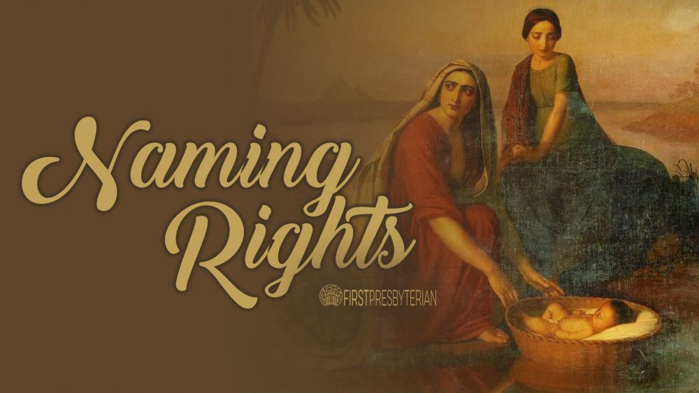 Naming Rights Image
