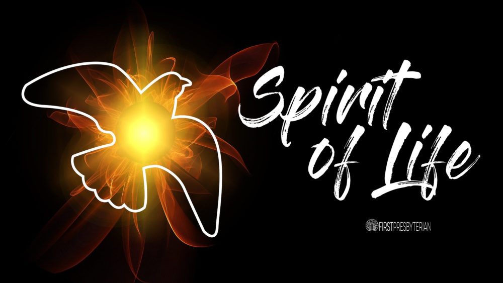 Spirit of Life Image