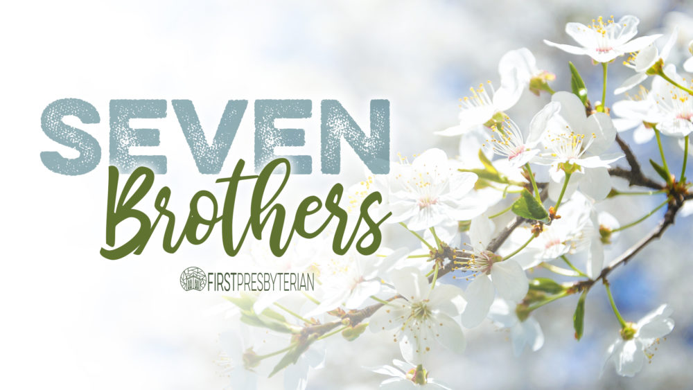 Seven Brothers Image