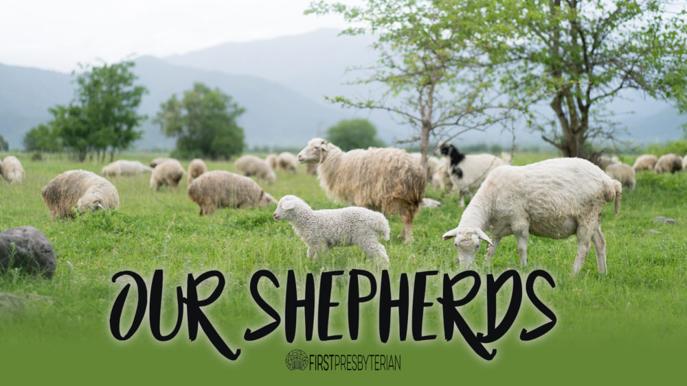 Our Shepherds Image