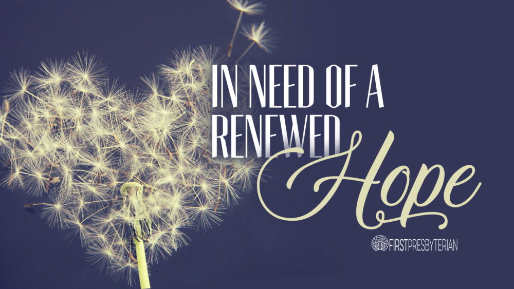 In Need of a Renewed Hope Image