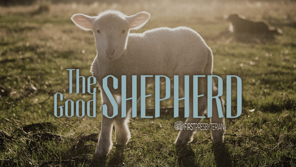 The Good Shepherd Image