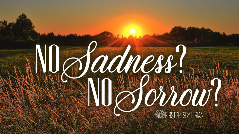 No Sadness? No Sorrow? Image