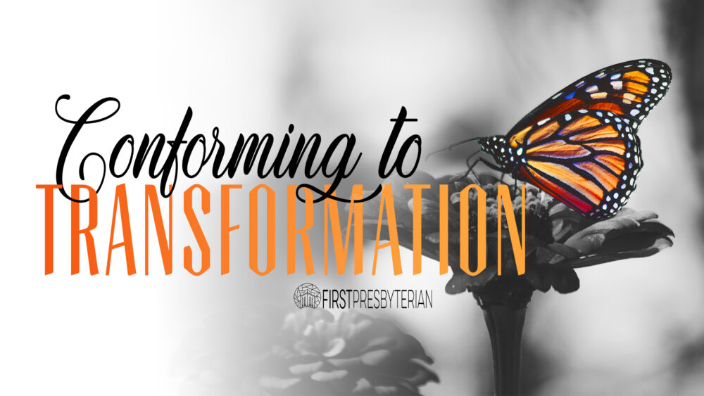 Conforming to Transformation Image
